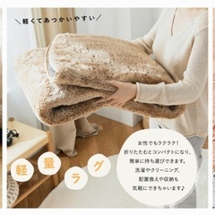 ラグ（未使用）の画像