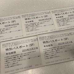 スモールワールド東京 入場券