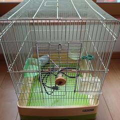 鳥のゲージの画像