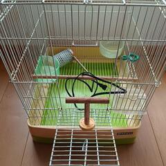 鳥のゲージ