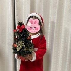 ミニクリスマスツリーの画像