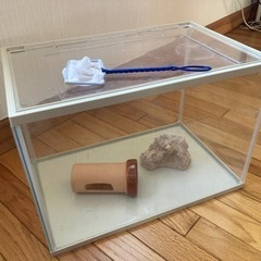 水槽　昆虫飼育　メダカ　金魚　ザリガニ　カブトムシ