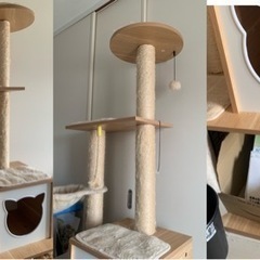 キャットタワーの画像