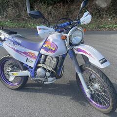 レイド！TT250R！