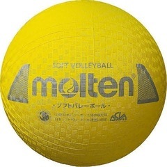 千葉県長生郡一宮町でソフトバレーメンバー募集！