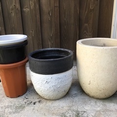 プランター　植木鉢　観葉植物