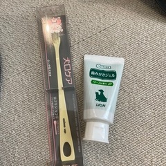 ペット（犬）ケージ他　美品の画像