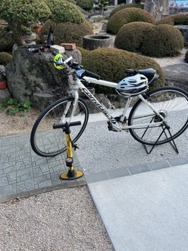 コラテックロードバイク(決まりました)