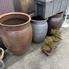 石壺メダカいれ