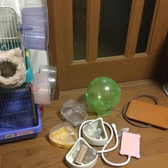 ハムスター リス等飼育セット2セットの画像