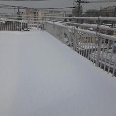 雪に関わるお困りごとならば当方へ