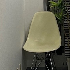 イームズ風　チェア　アイボリー