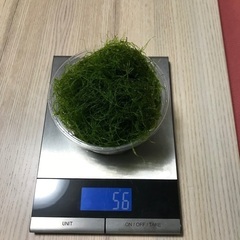 無農薬 ｳｨﾛｰﾓｽ 56g 熱帯魚 ｴﾋﾞ ﾒﾀﾞｶに