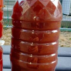 増やしてPSB　+　PSB　のセット①の画像