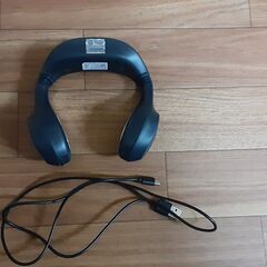 297ペルティエクール＆ウォームデュオ