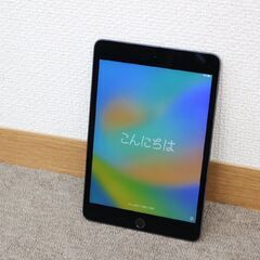 T736) Apple iPad mini 第5世代 A2133 7.9インチ Retina タブレット 64GB Wi-Fiモデル スペースグレイ iOS Mac Bluetooth アップル