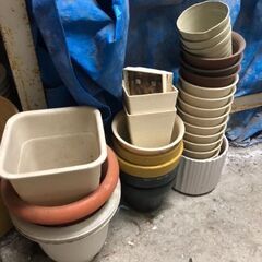 鉢植え色々セット　無料　