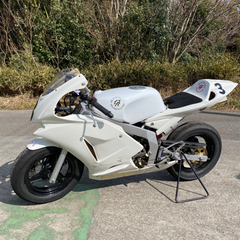 NSF100の画像