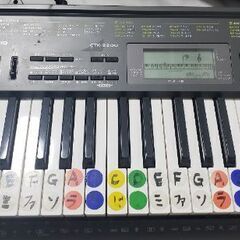2/24迄限定価格❗CASIOキーボード