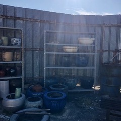 壺　メダカ鉢　いろいろありますの画像