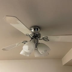 シーリングファンの画像