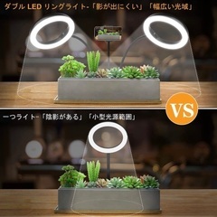 ダブルリングライトの画像