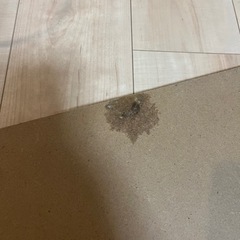 ベビーベッド　ミニサイズの画像
