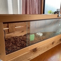 リクガメ　ケージ　蓋なしの画像