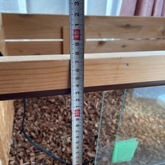 リクガメ　ケージ　蓋なしの画像