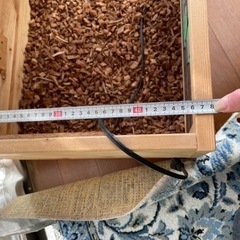 リクガメ　ケージ　蓋なしの画像