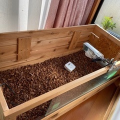 リクガメ　ケージ　蓋なし