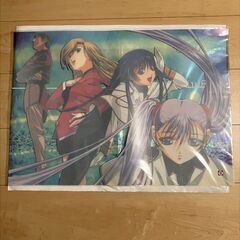 機動戦艦ナデシコ　Ａ２サイズ　クリアポスター 　Martian Successorの画像