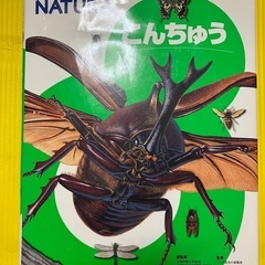 恐竜、季節、昆虫　フレーベル館の図鑑　ナチュラNATURAの画像