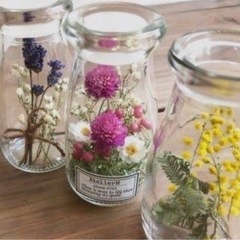 ラベンダー　の画像