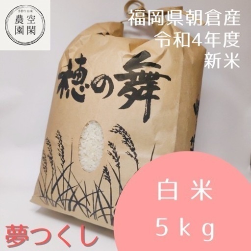 豪雨に負けん米★令和4年新米●福岡県産夢つくし【白米5キロ】