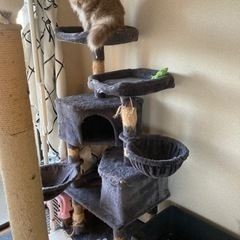 キャットタワー
