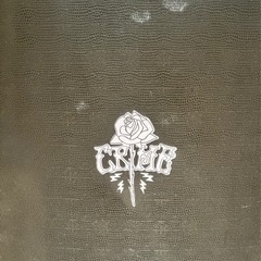 Crime Surfboard Evolution 9'5