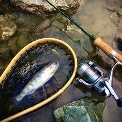 渓流釣り