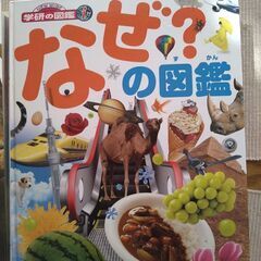 図鑑いろいろ　４冊の画像