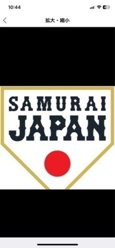 侍ジャパン2月18日(土)整理券2枚連番