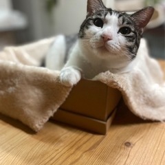 皆さんのご支援で回復‼️イケメン男子 - 沖縄市