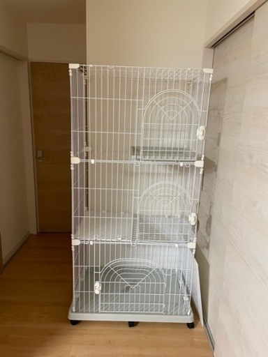 キャットゲージ