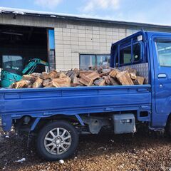 薪　乾燥（りんごの木）の画像