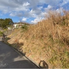 静岡県伊豆の国市中 ＃125 不動産0円物件 - 土地販売/土地売買
