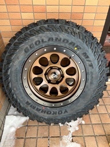 SCS RAY10 ジオランダーM/T G003