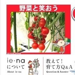 トマトが簡単に！