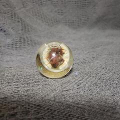 ハリー・ポッター　フラッフィー　スノードーム　0円の画像