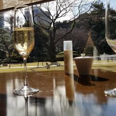 性別年齢関係なく飲み友達募集します - 松本市