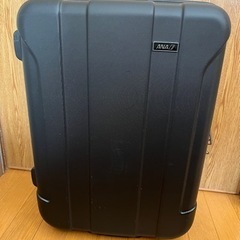 キャリーバック（決定）