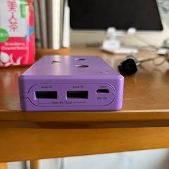 【取引中】大容量 モバイルバッテリー cheero Power Plus DANBOARD versionの画像